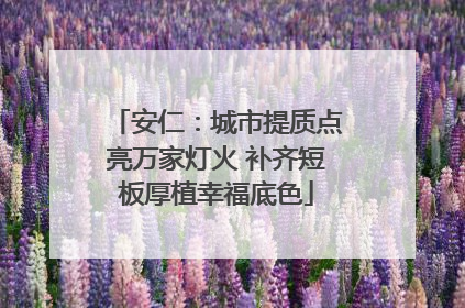 安仁：城市提质点亮万家灯火 补齐短板厚植幸福底色